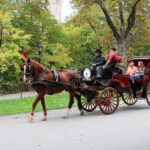 A group of people riding in a horse drawn carriage.